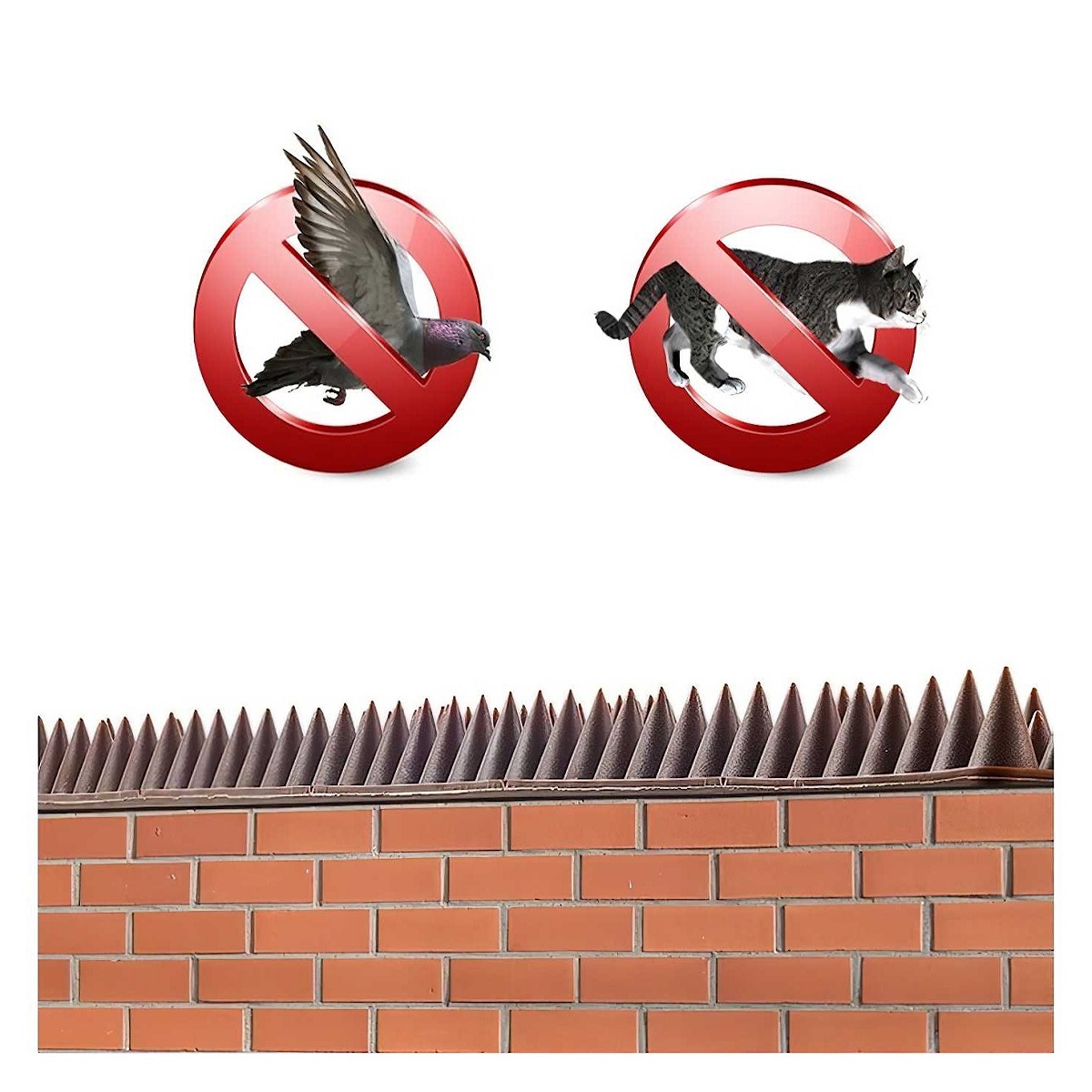 Showing Amtech pest and security intruder prickle spikes on a brick wall, with symbols indicating deterrence of birds and cats.