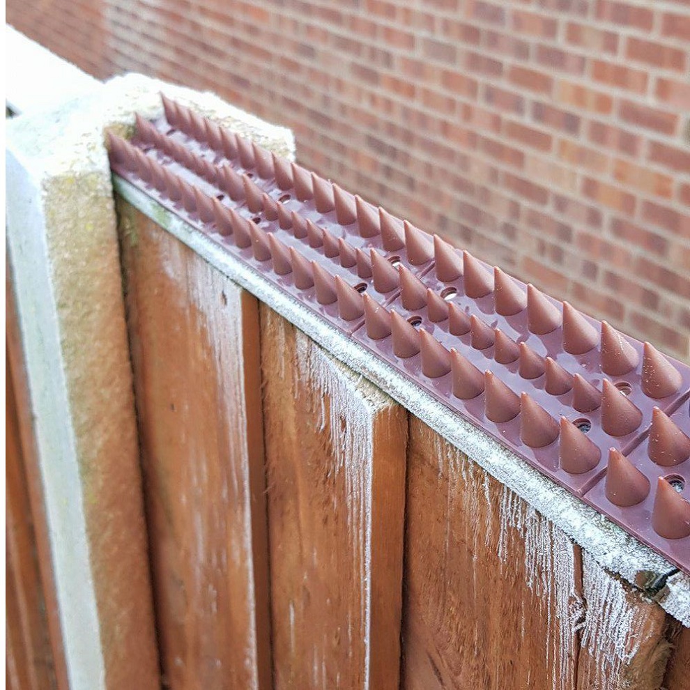 Brown prickle spikes installed on a wooden fence for security deterrence.