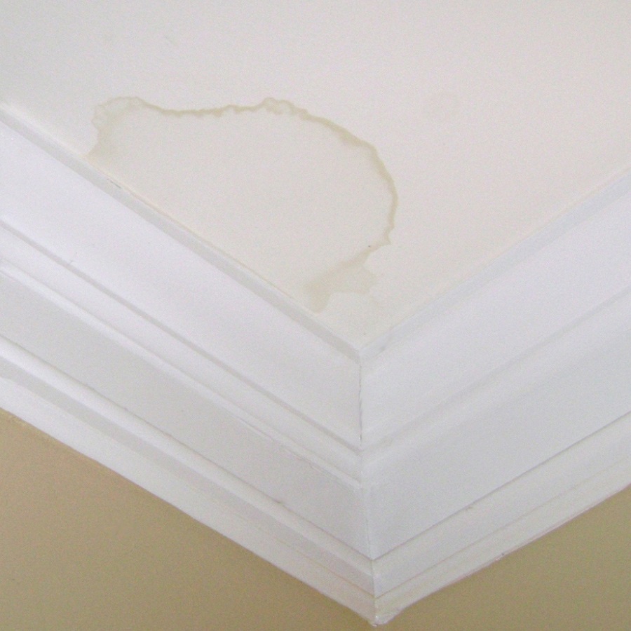 White ceiling corner with a visible stain.