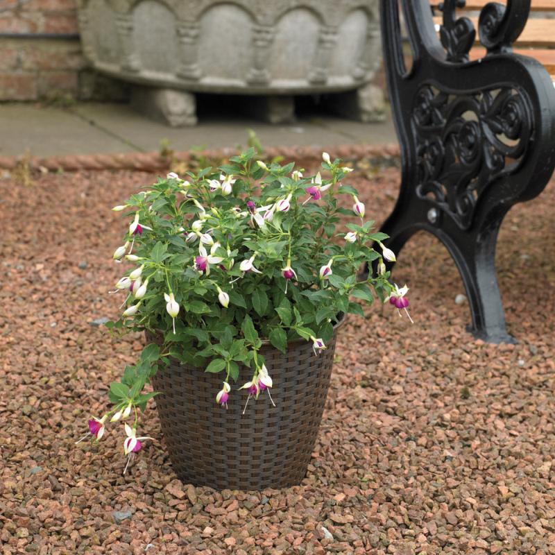 Garden flower pot with interwoven rattan design containing blooming flowers, placed on gravel.
