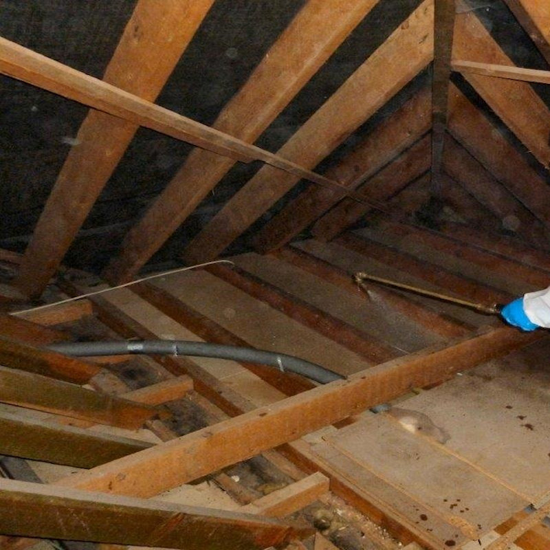 Person applying woodworm treatment to wooden beams in an attic.
