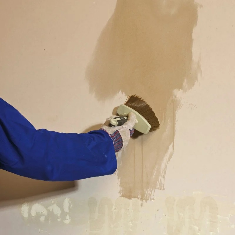 Person applying PVA sealer to a wall with a brush