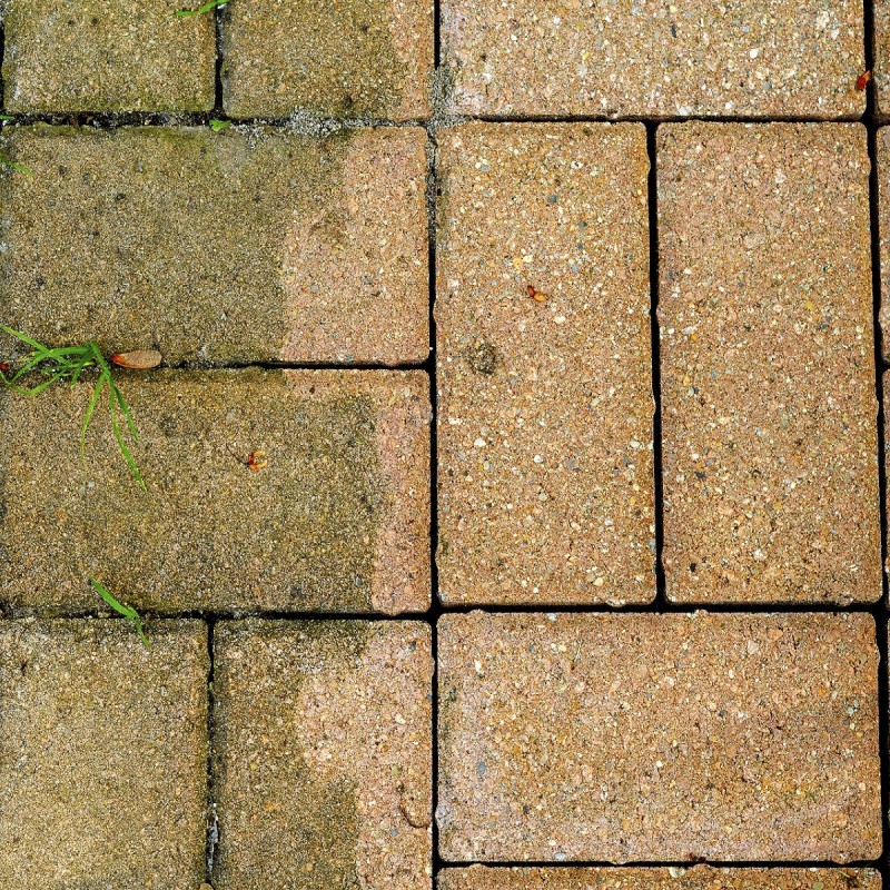 Comparison of paving stones with moss and mildew on the left and clean on the right.