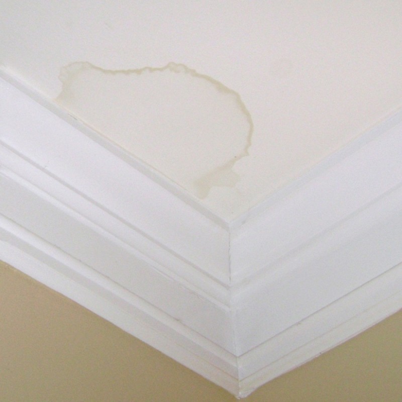 Ceiling corner with visible water stain on white paint.