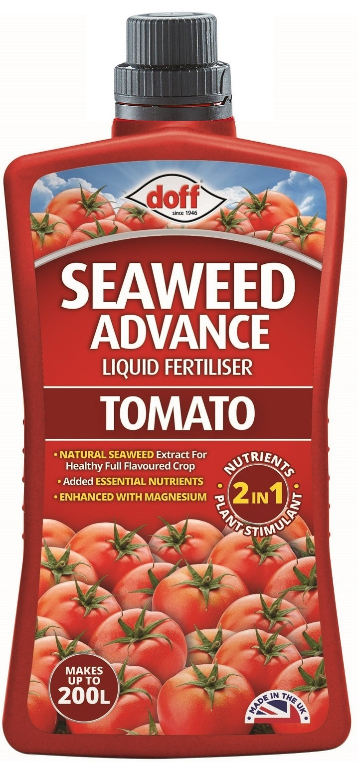Doff Seaweed Advance Tomato Feed Liquid Plant Food 1 Litre bottle with red label featuring images of tomatoes and product information.