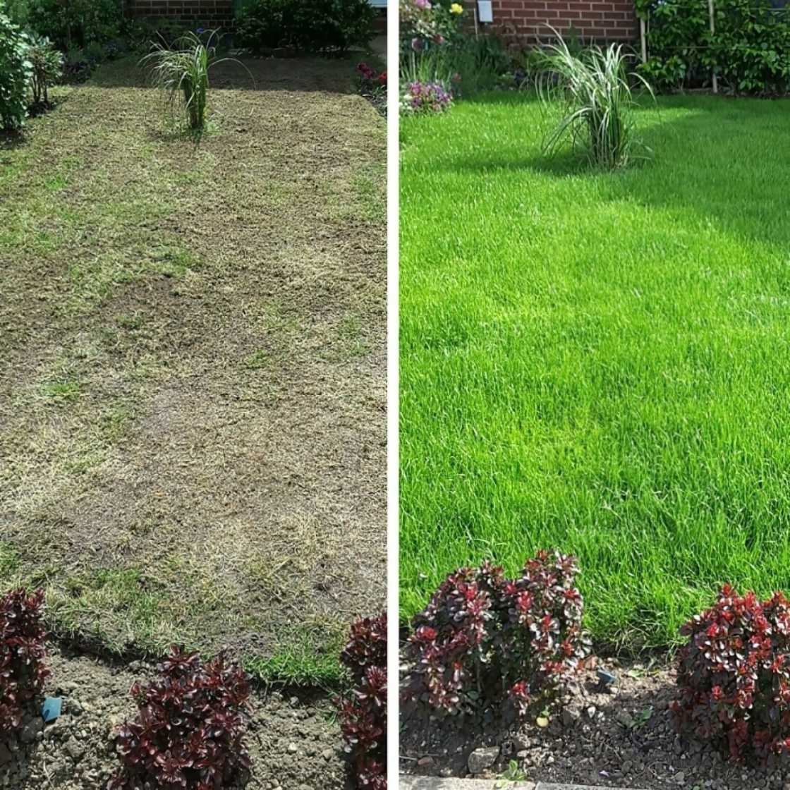 Comparison of a lawn before and after using Doff Green Finger 3-in-1 Lawn Feed, Seed and Thickener, showing improvement from sparse to lush green grass.