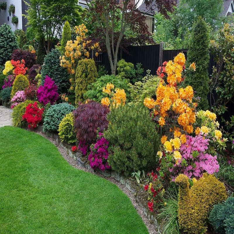 A vibrant garden with various colourful flowers and lush green shrubs.