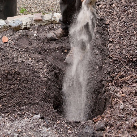 Person applying plant feed fertiliser to soil in a garden.