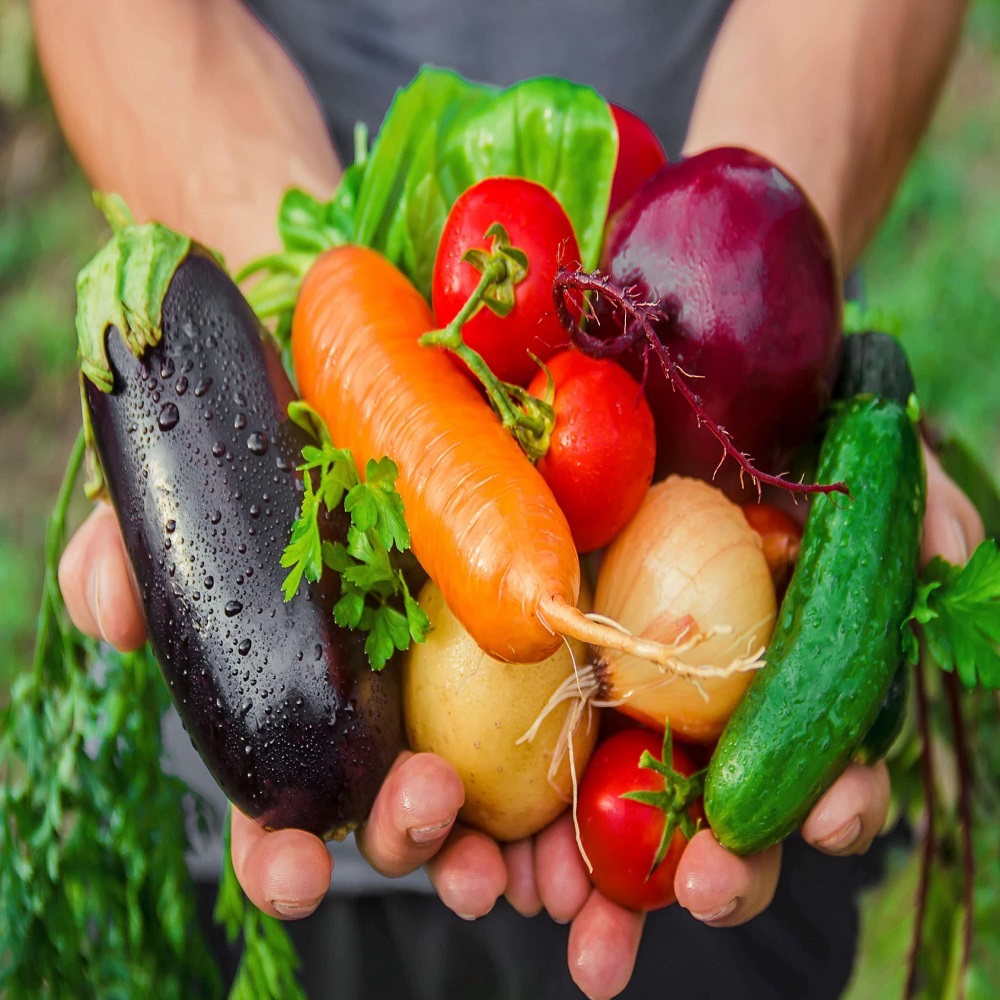Hands holding a variety of fresh vegetables including aubergine, carrot, tomato, onion, and cucumber.