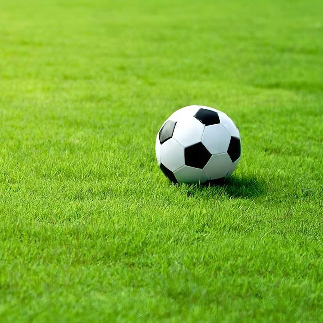 A football resting on a lush green lawn, showcasing the quality of the grass.