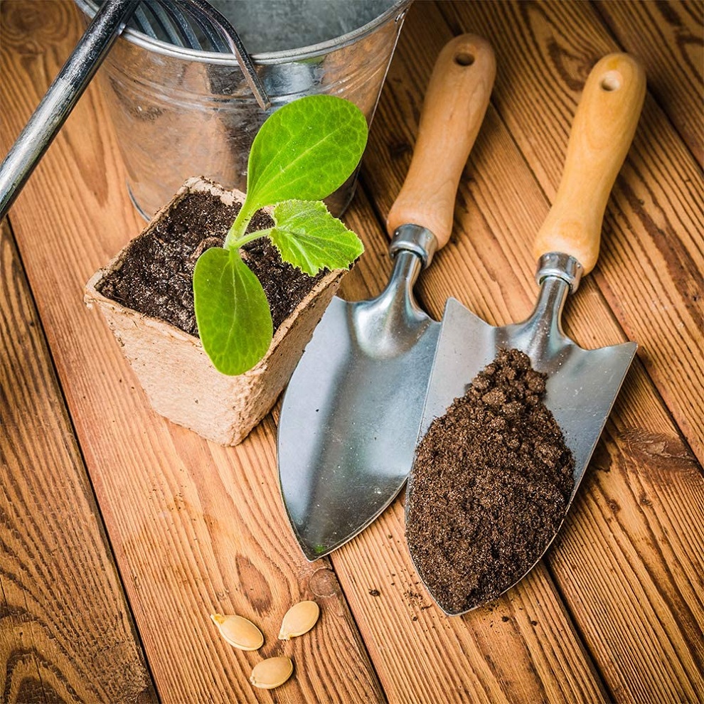 Gardening tools and a seedling in a pot with compost on a wooden surface.