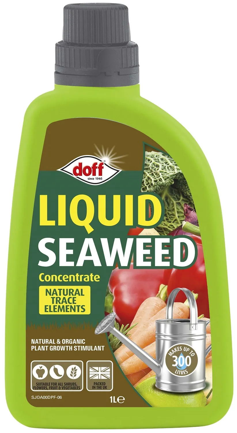 Doff Garden Seaweed Plant Feed 1L for Healthy Plant Growth (F-JO-A00-DOF)