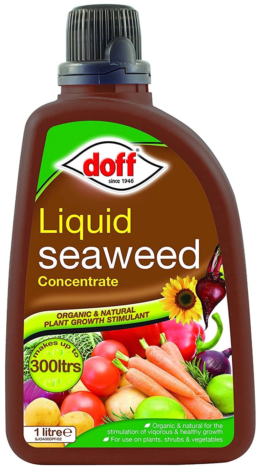 Bottle of Doff Liquid Seaweed Concentrate with images of vegetables and text indicating it is organic and natural for plant growth.