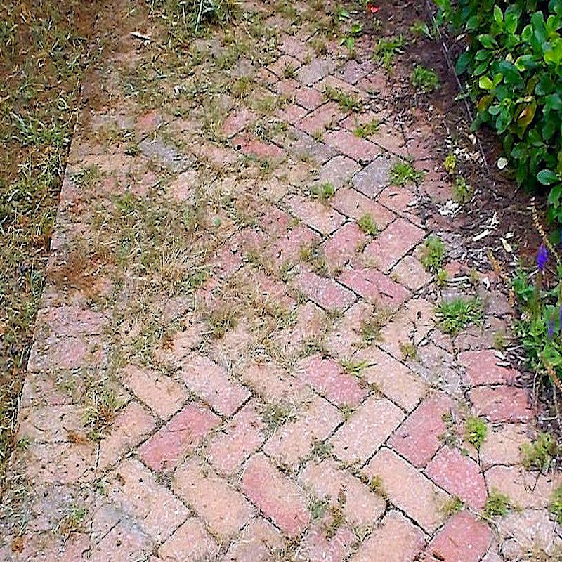 Brick pathway with weeds growing between the bricks
