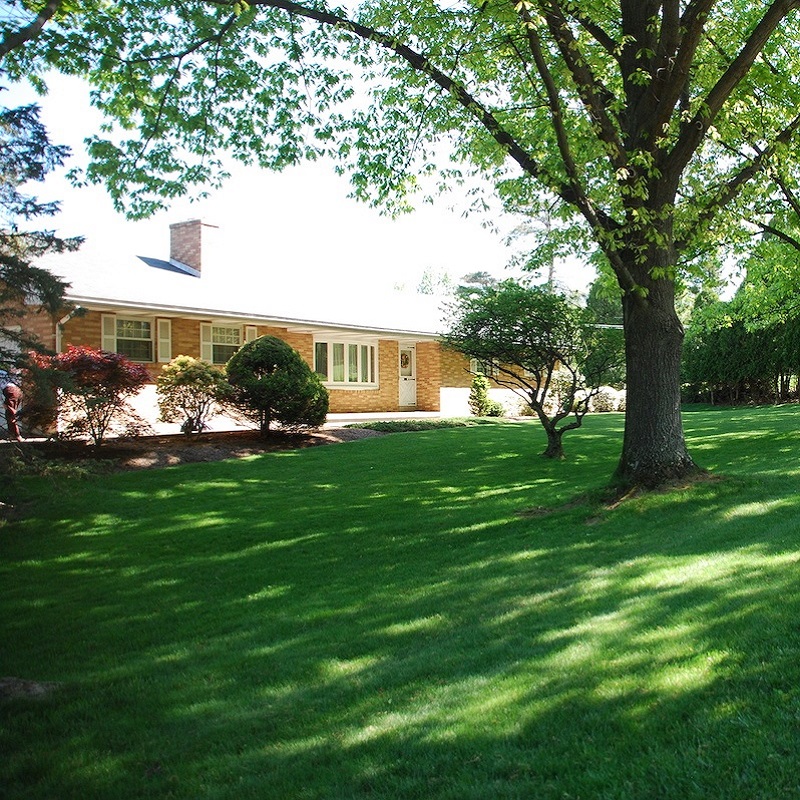A well-maintained lawn with lush green grass in a garden setting, shaded by trees.