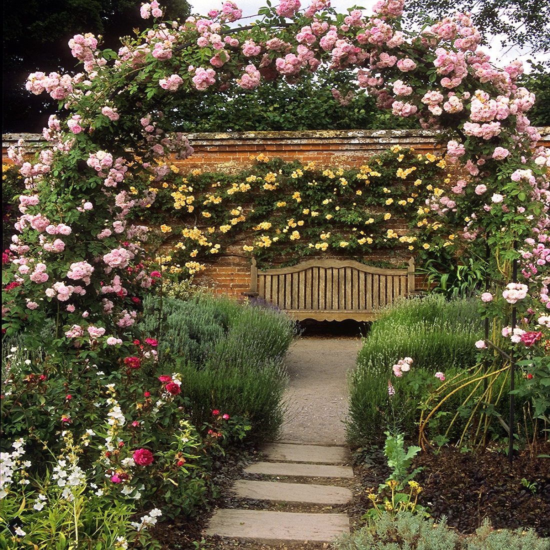 A garden path leading to a wooden bench, surrounded by blooming roses and shrubs.