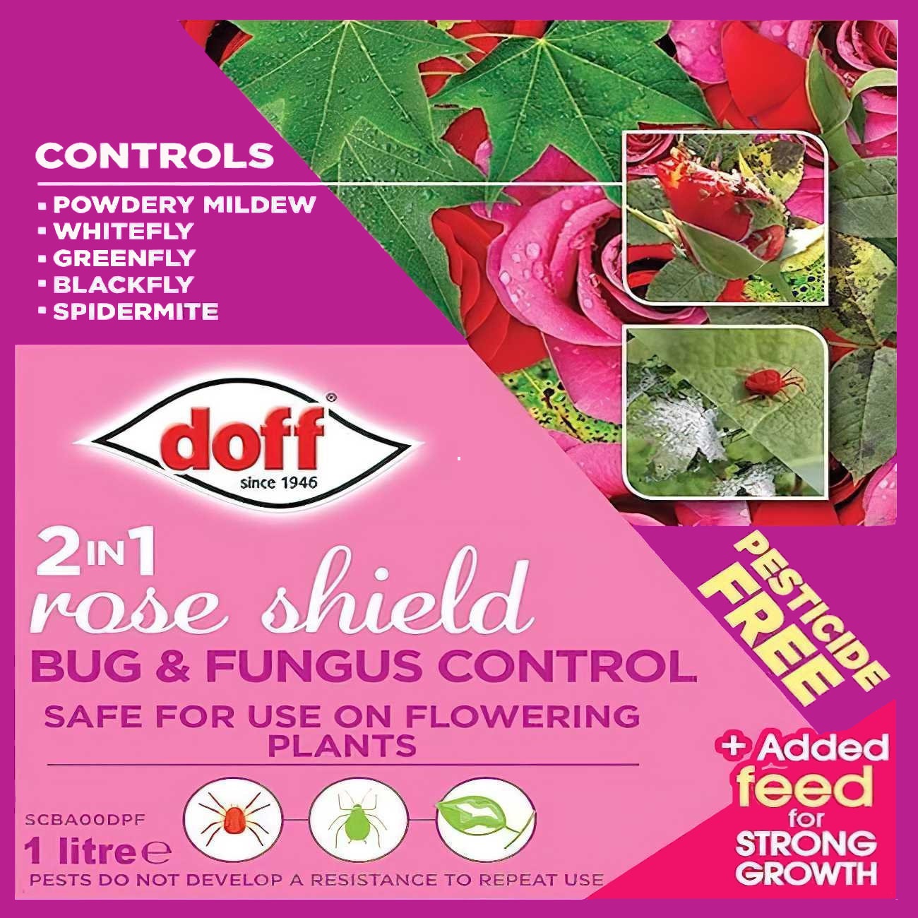 Doff 2-in-1 Rose Plant and Shrub Bug & Fungus Control Spray packaging showing pest control features for powdery mildew, whitefly, greenfly, blackfly, and spidermite.