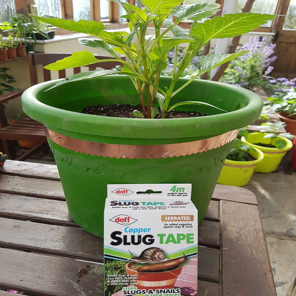 A green plant pot with Doff Copper Slug Tape applied around it, and a package of the tape in front.