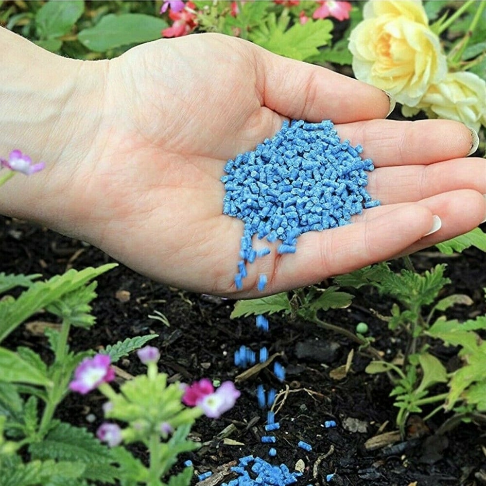 Hand sprinkling blue slug and snail pellets in a garden bed with flowers.