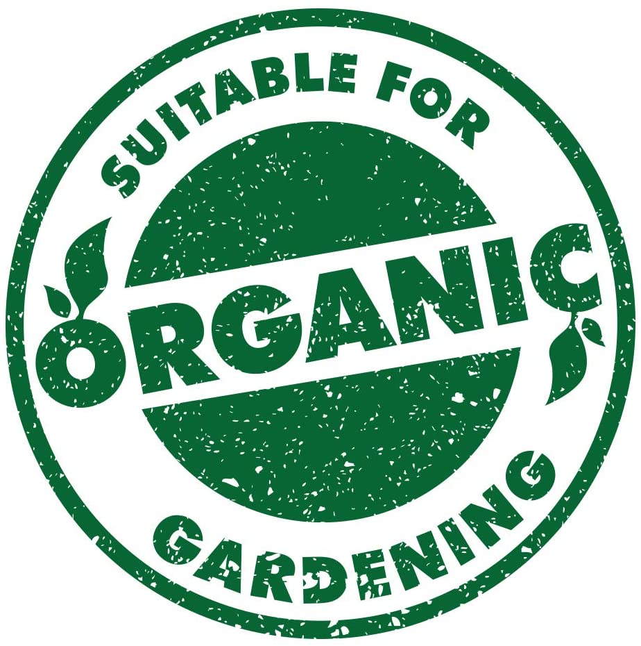 Green circular stamp with the words