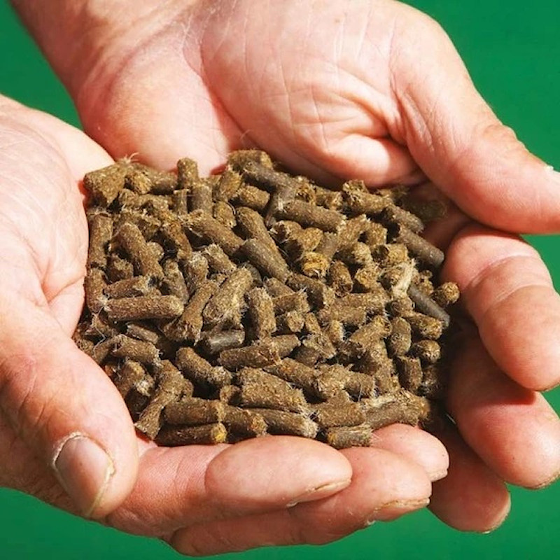 Hands holding brown wool pellets for slug control against a green background.