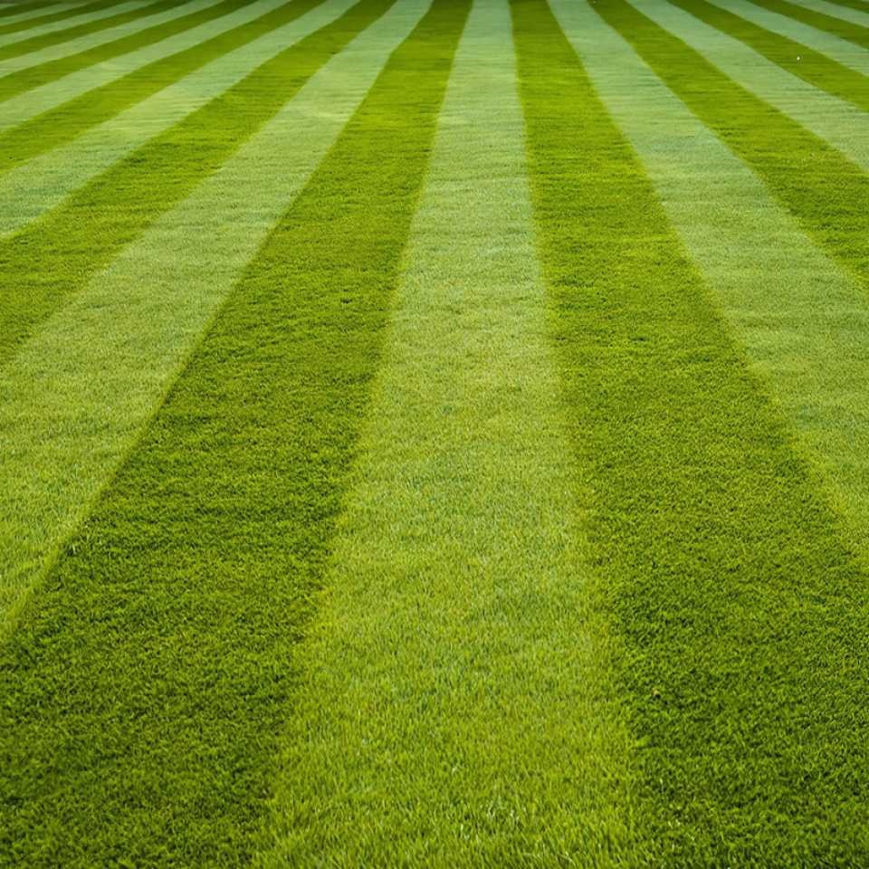 Close-up of a well-maintained lawn with alternating light and dark green stripes.