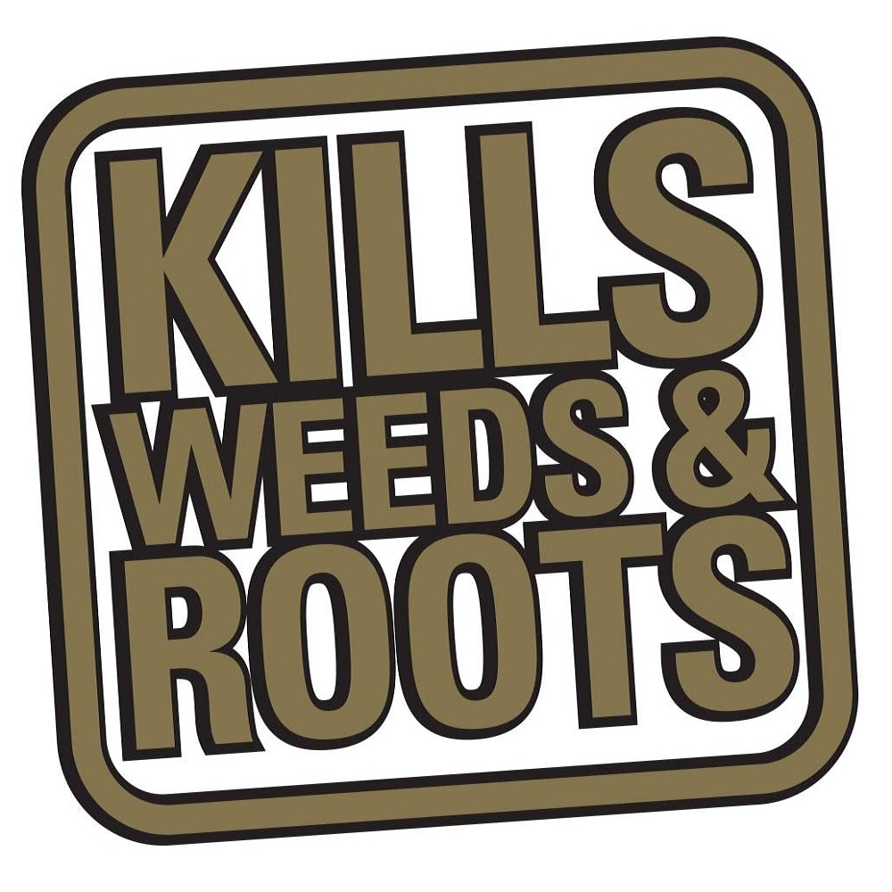Graphic with text
