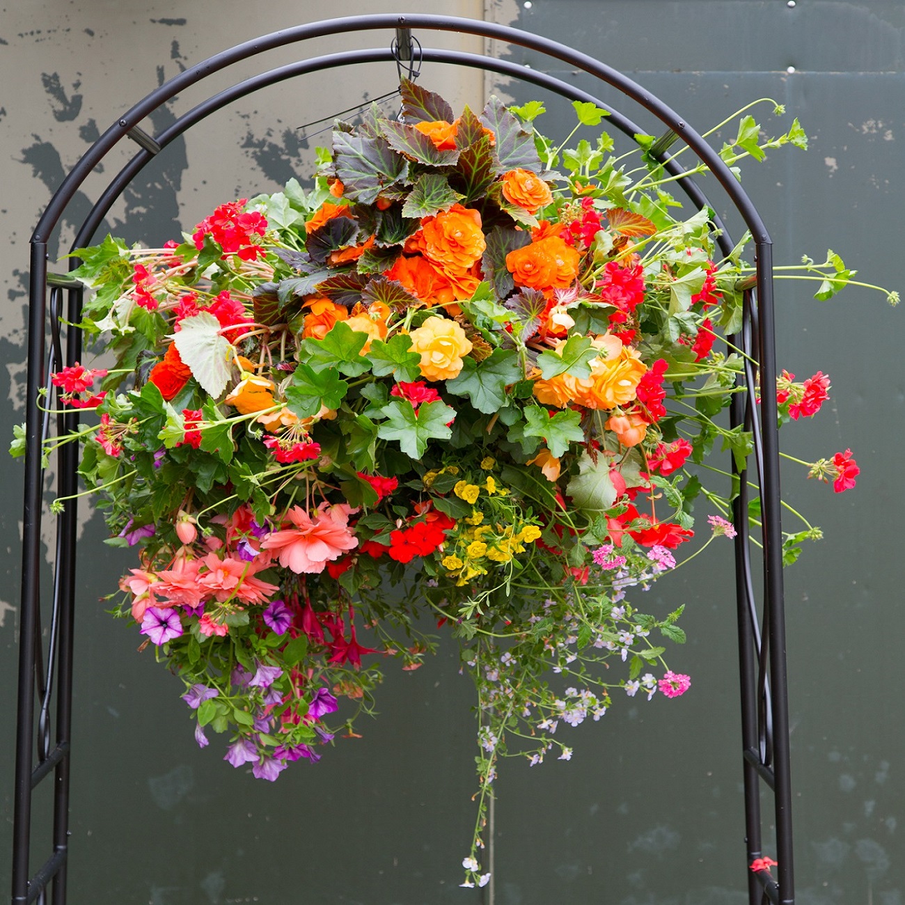 Hanging basket filled with vibrant flowers and foliage using a wool and moss liner.