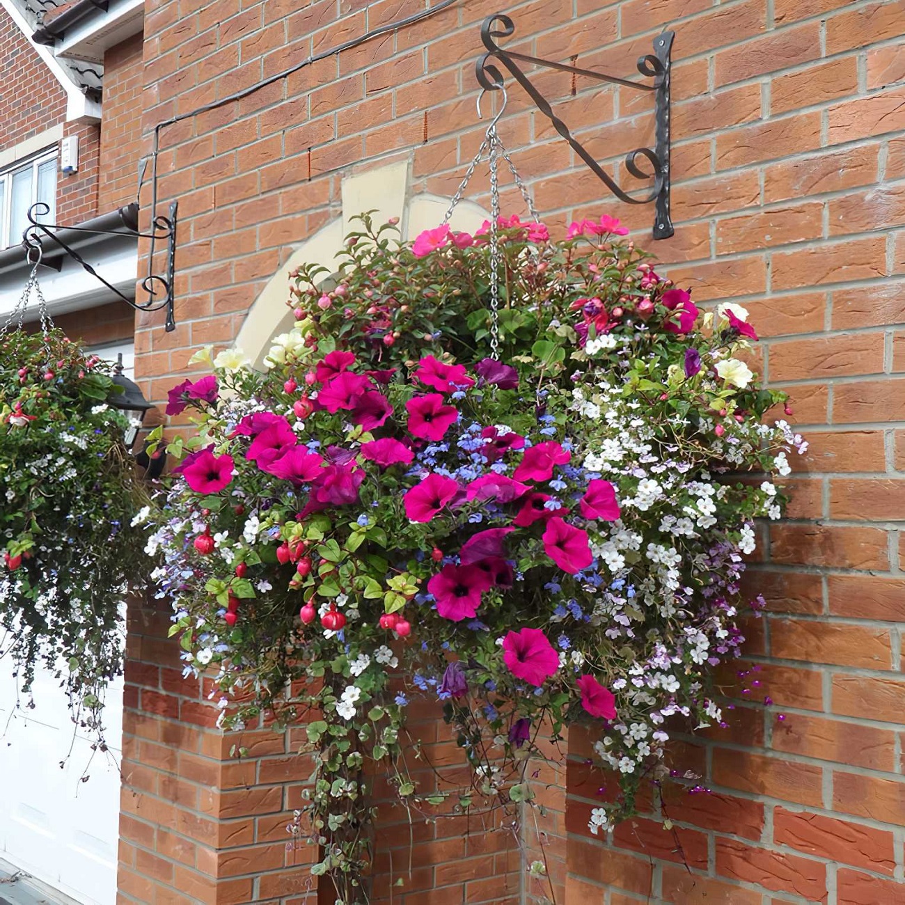 Hanging basket filled with vibrant flowers against a brick wall.