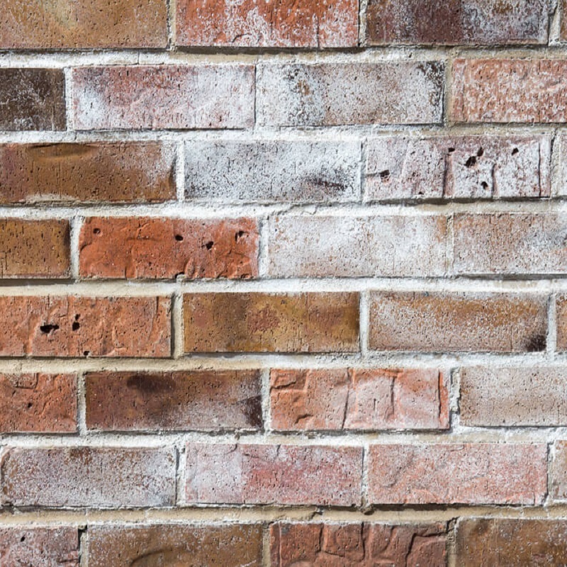 Brick wall with white salt efflorescence deposits.