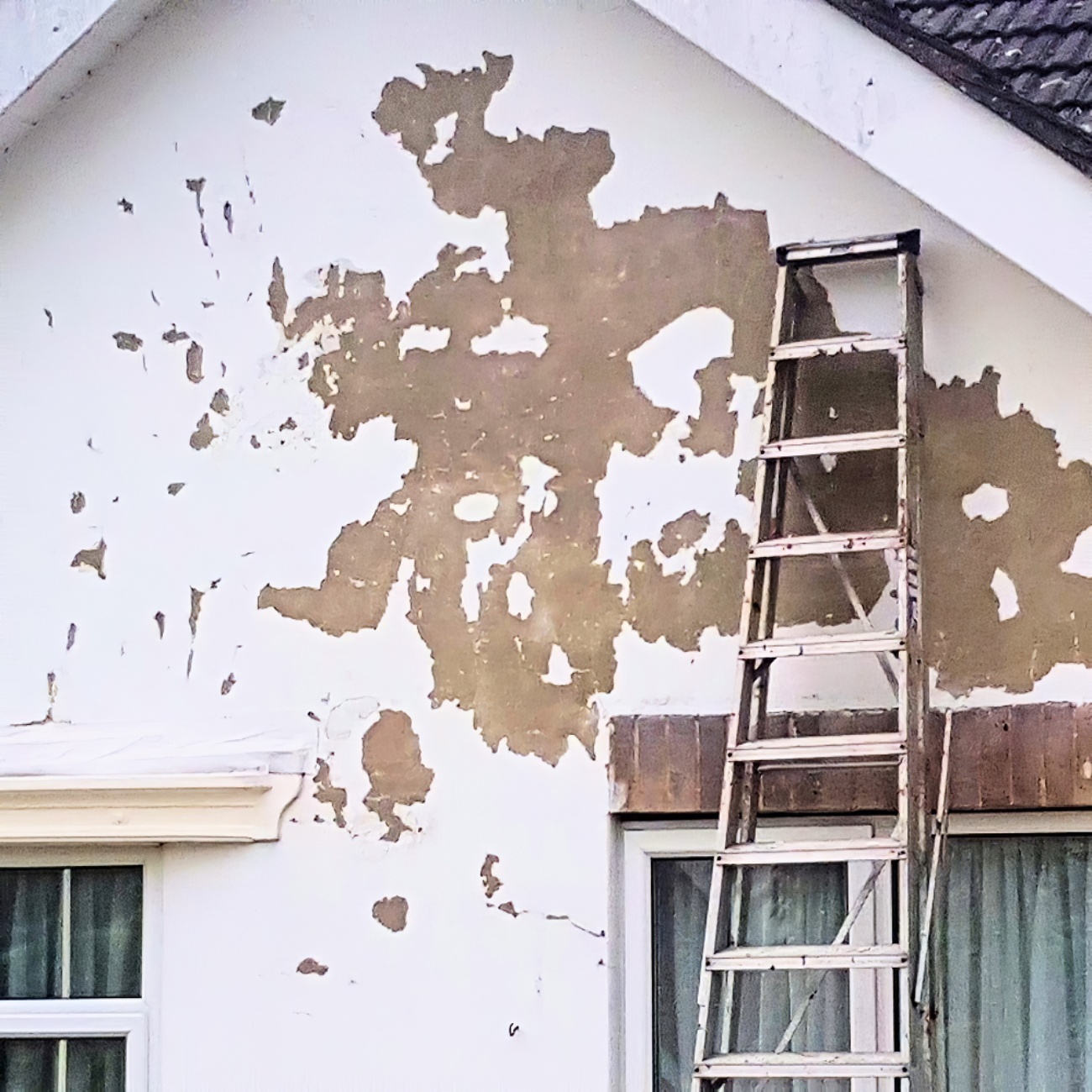 Exterior wall with peeling paint and a ladder leaning against it.