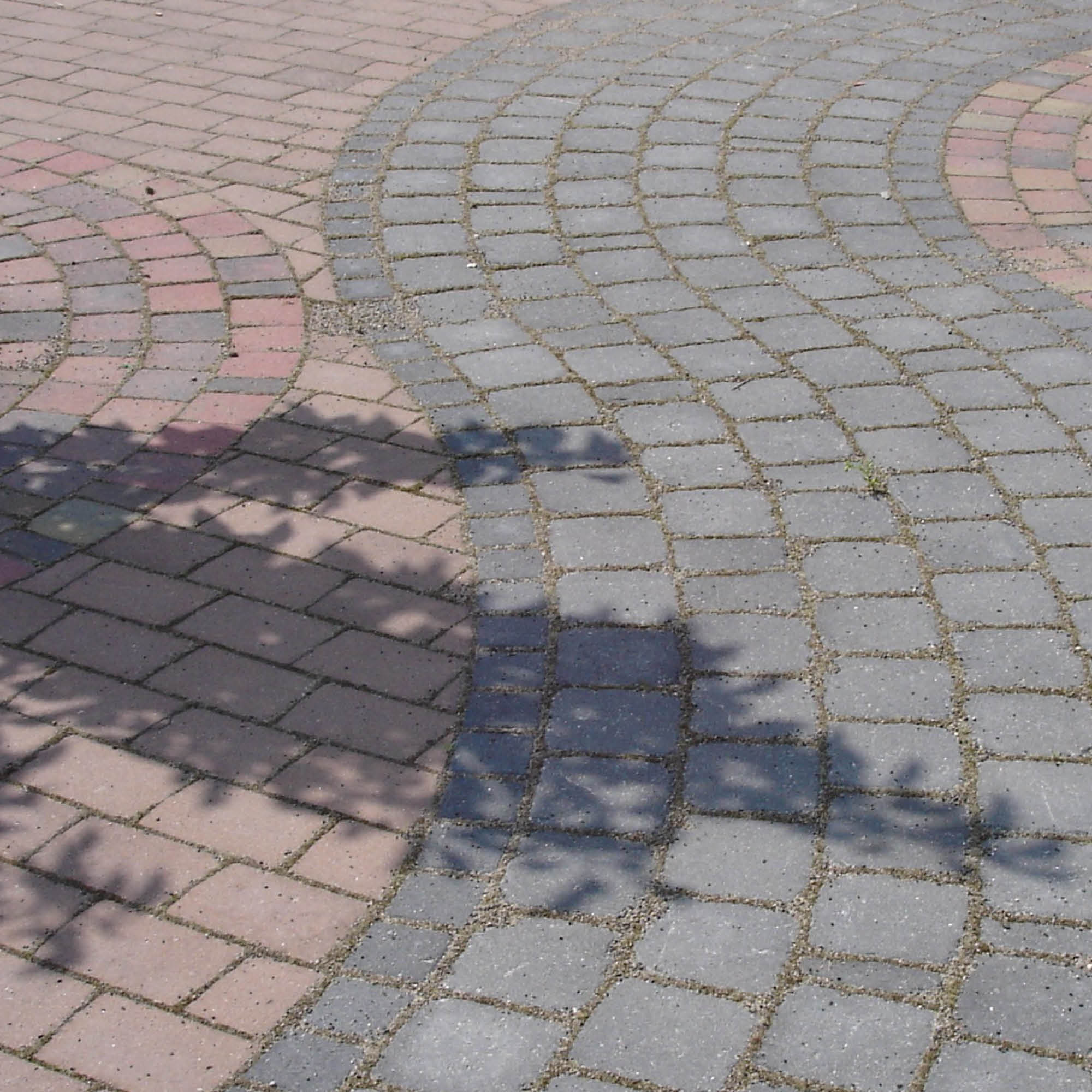 Close-up of paved driveway with curved patterns and shadows from nearby trees.