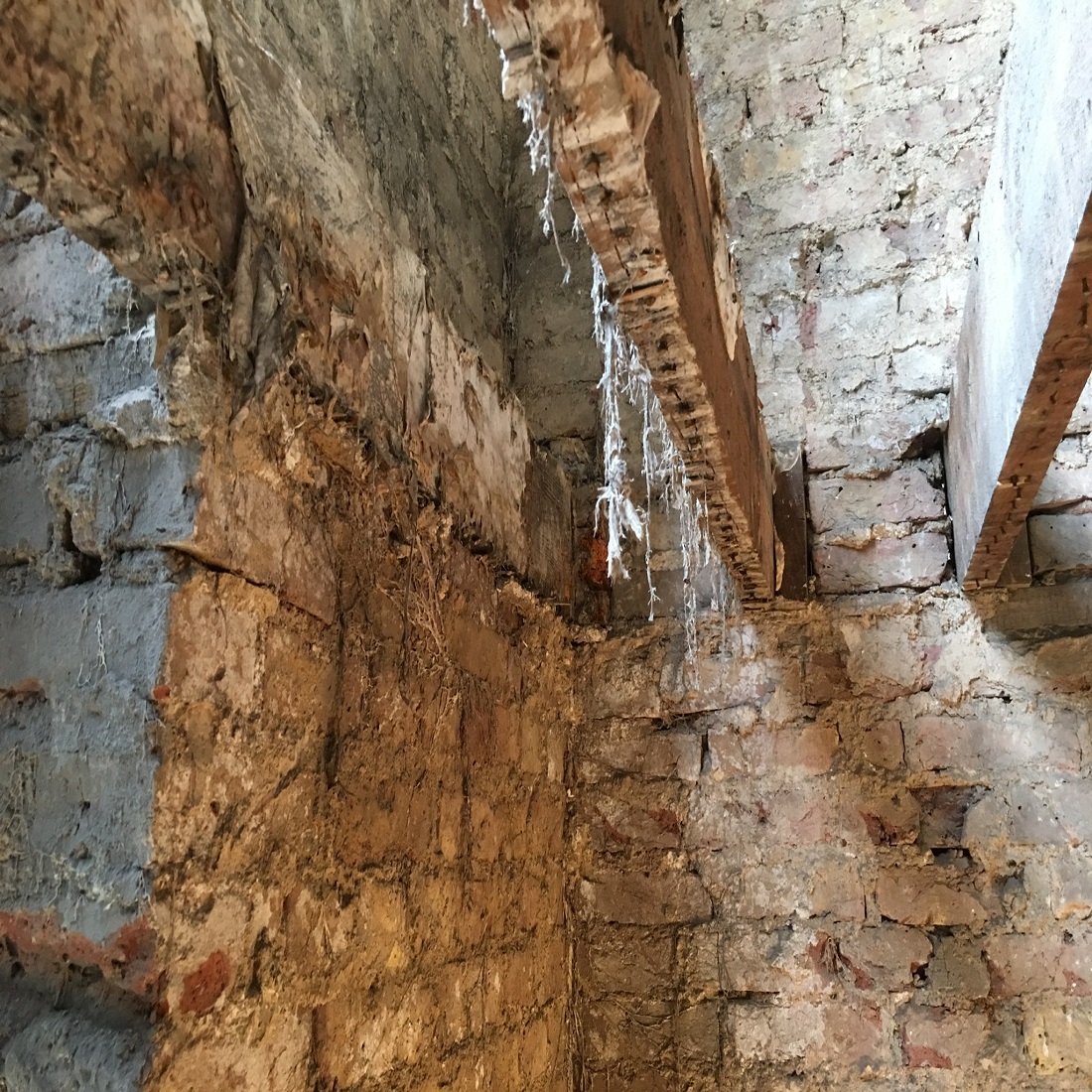 Close-up of a brick wall with visible dry rot damage.