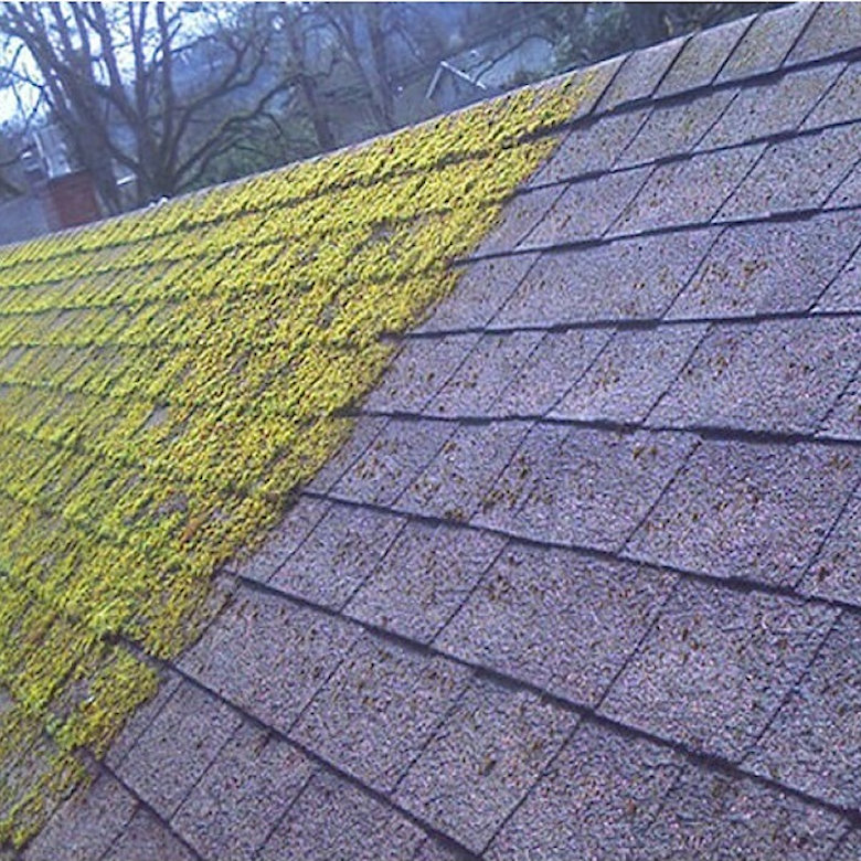 Roof with one side covered in moss and the other side clean.