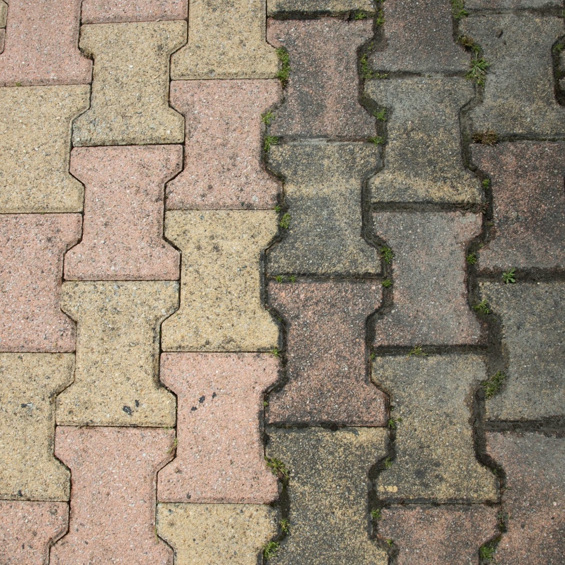 Comparison of clean and moss-covered paving stones.