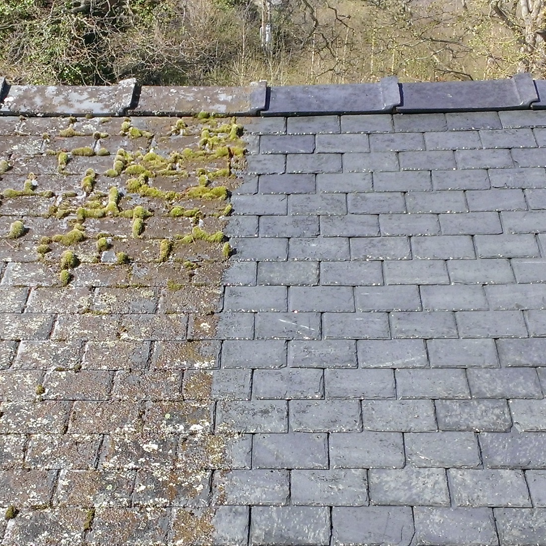 Roof tiles showing a comparison between moss-covered and clean surfaces.