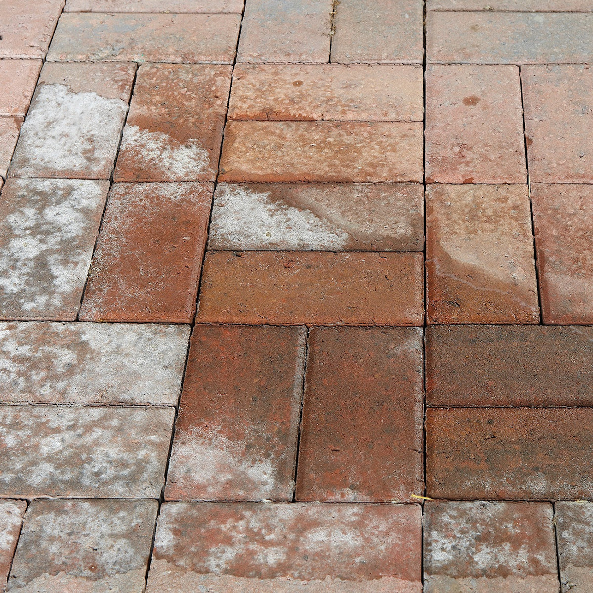 Close-up of brick paving with visible salt efflorescence.