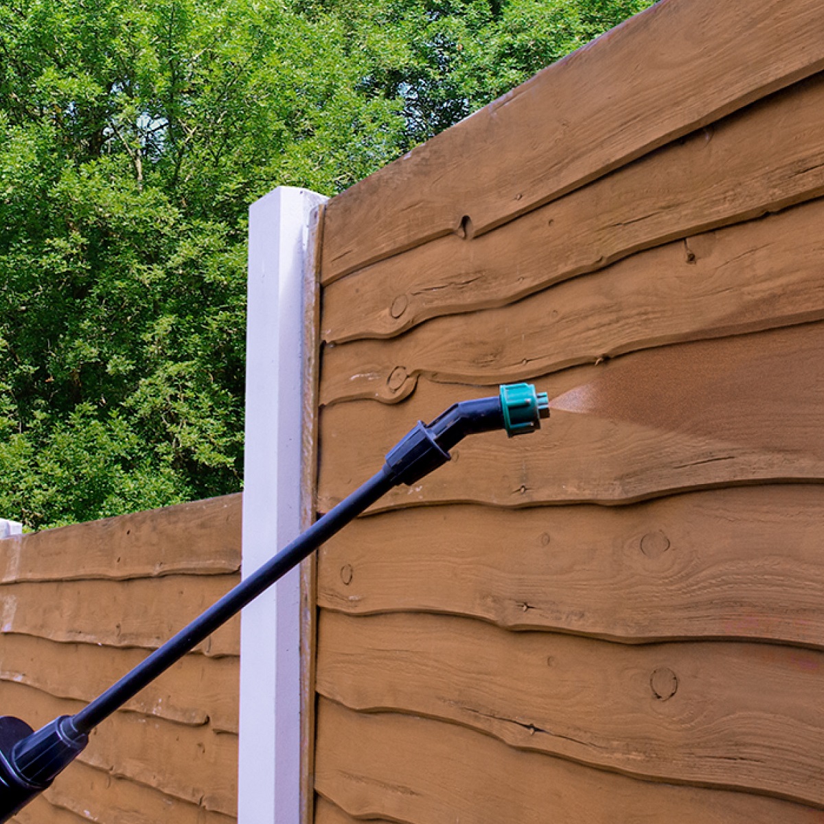 Spraying wood treatment on a wooden fence with a garden sprayer.