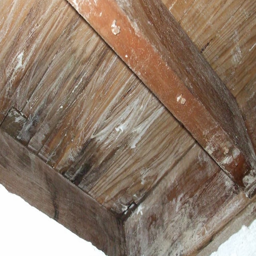 Close-up of treated wooden beams with a protective coating.