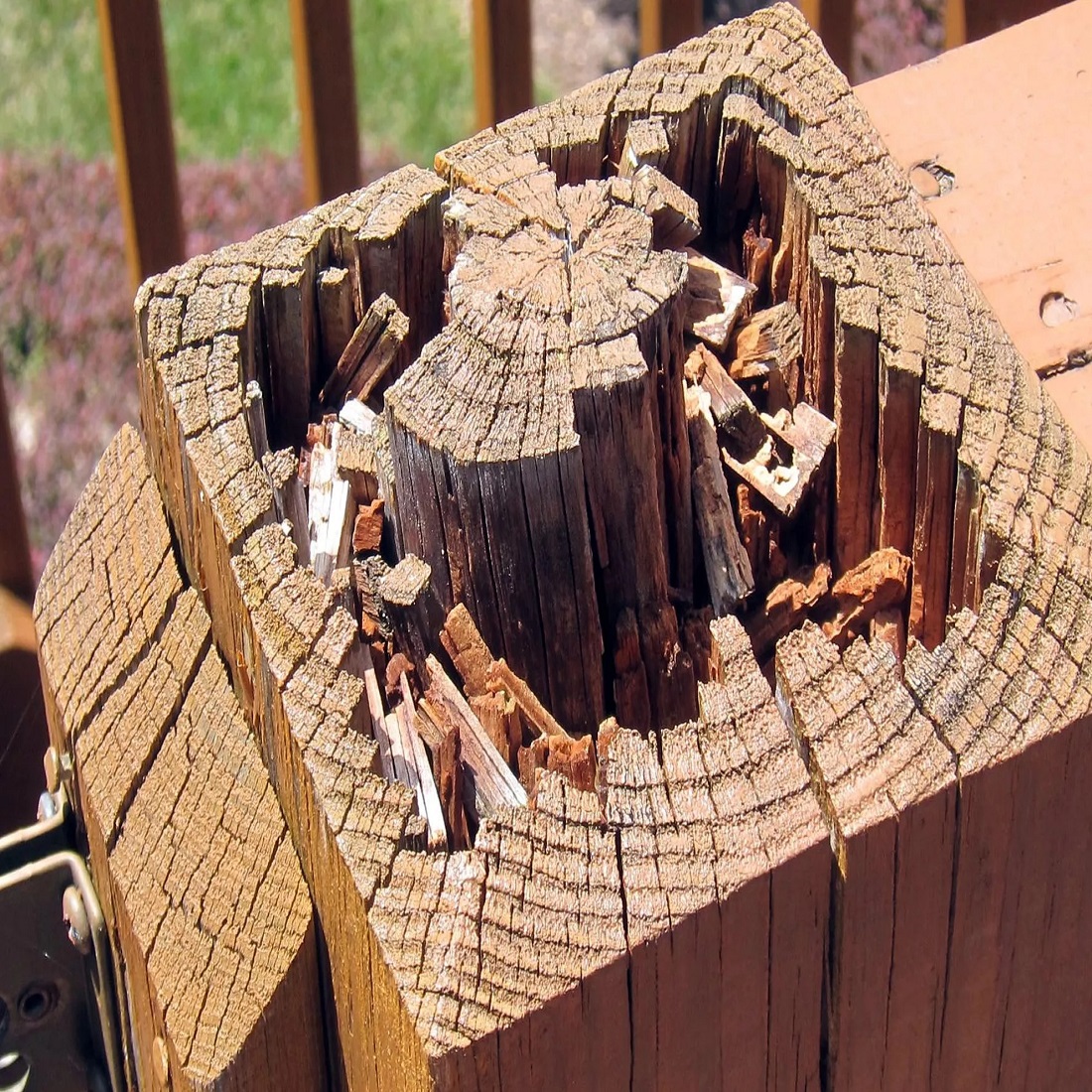 Close-up of a weathered wooden post with visible cracks and decay.