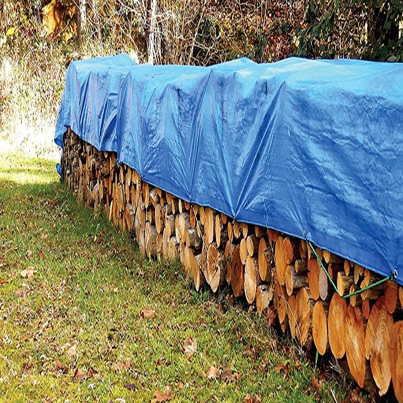 Blue tarpaulin covering stacked logs in a grassy outdoor area.