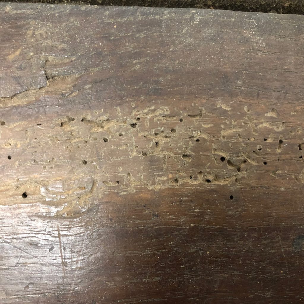 Close-up of wood with visible woodworm holes and damage.