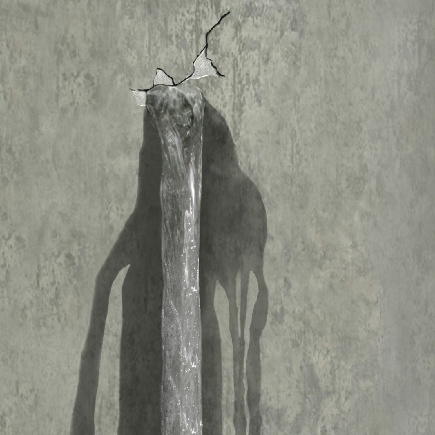Concrete wall with visible crack and water seeping through.