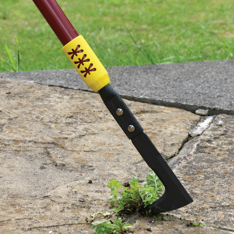 Telescopic long handle hooked patio weeder removing weeds from garden edge.