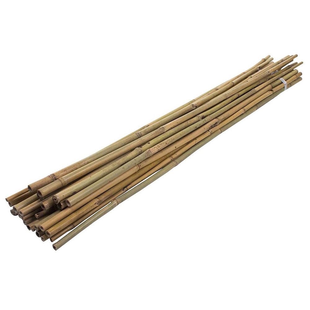 Pack of 10 natural bamboo supports, 900mm in length, arranged in a bundle.