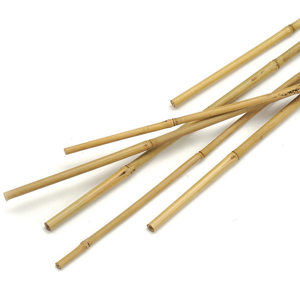 Natural bamboo sticks laid out on a white background.