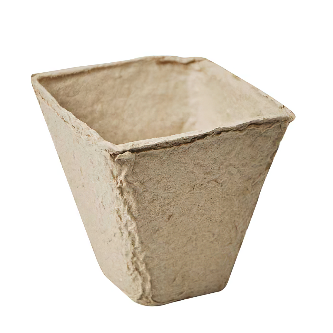 Biodegradable square peat pot for gardening, 3 inches in size.