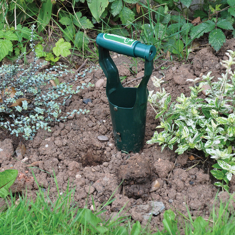 Garden bulb planter tool inserted into soil surrounded by plants.