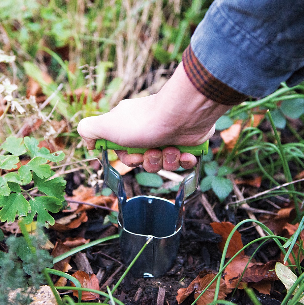 Hand using a metal bulb planter in a garden bed with green and brown foliage.