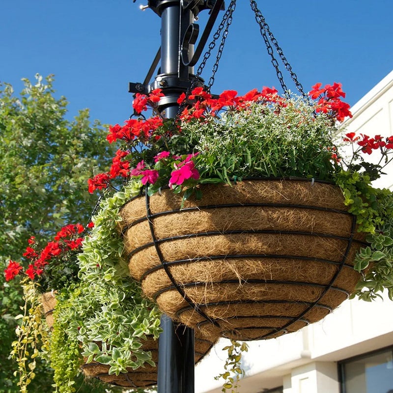 Hanging basket with coco liner filled with vibrant flowers and greenery against a clear blue sky.